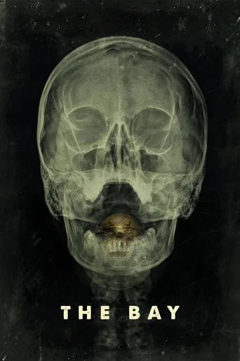 Póster de The Bay