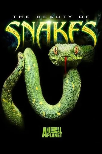 Póster de The Beauty of Snakes