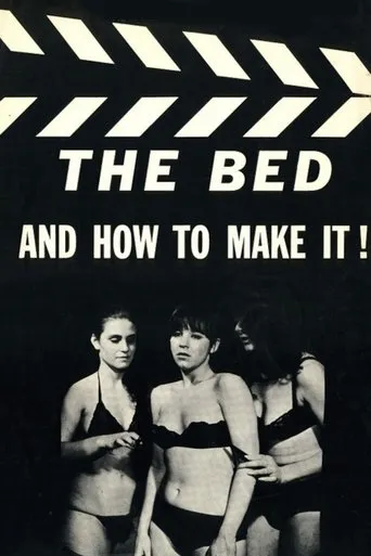 Póster de The Bed and How to Make It!