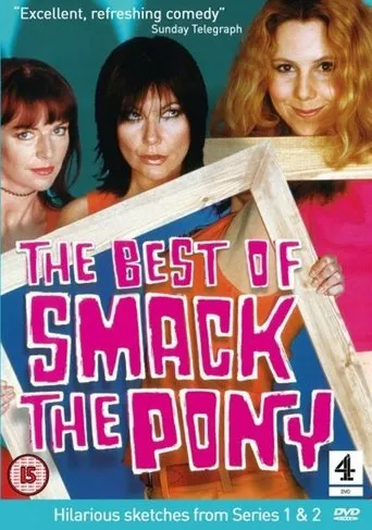 Póster de The Best Of Smack The Pony