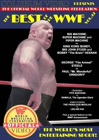 Póster de The Best of the WWF: volume 12