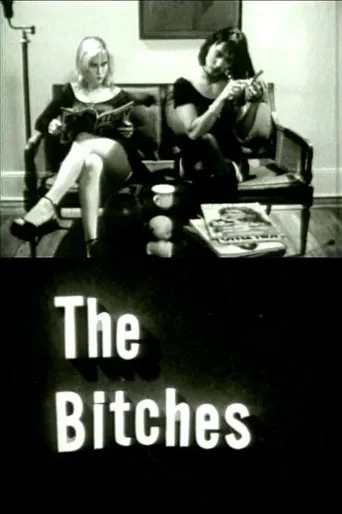 Póster de The Bitches