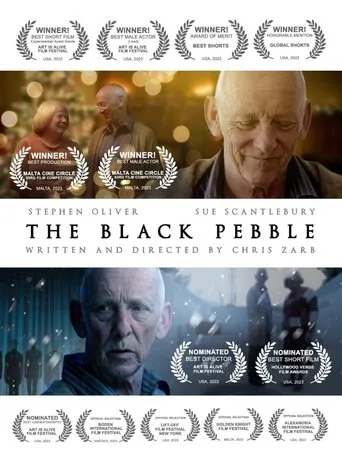Póster de The Black Pebble