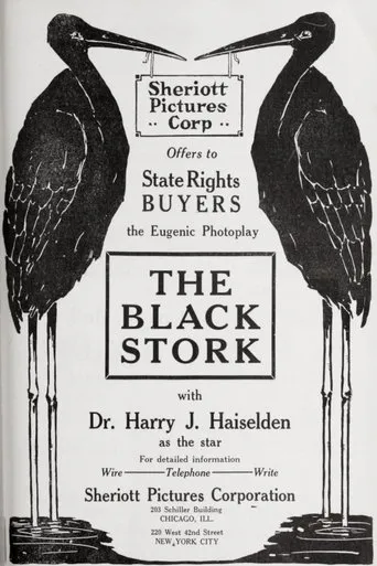 Póster de The Black Stork
