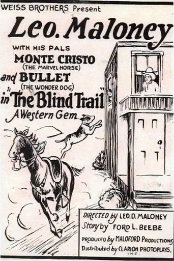 Póster de The Blind Trail