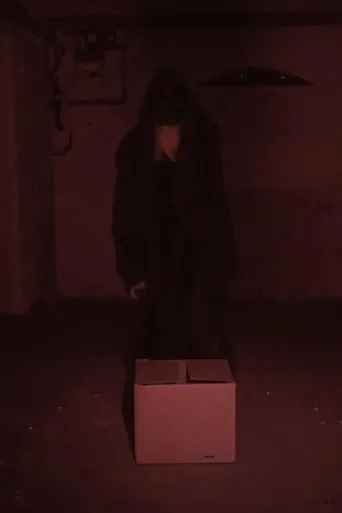 Póster de The Box Cult