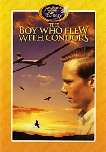 Póster de The Boy Who Flew with Condors
