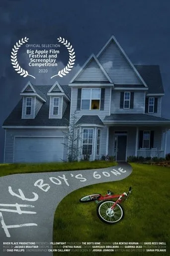 Póster de The Boy's Gone