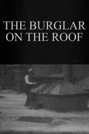 Póster de The Burglar on the Roof