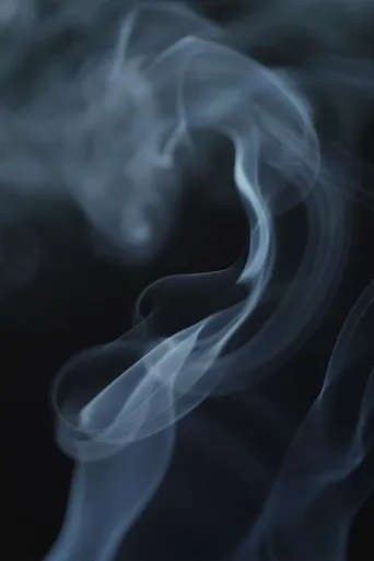 Póster de The Cannabis Question