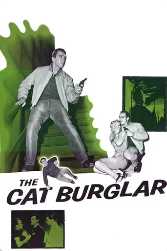 Póster de The Cat Burglar