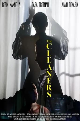 Póster de The Cleaners