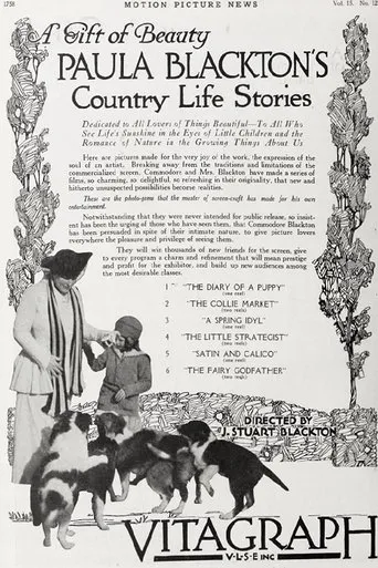Póster de The Collie Market