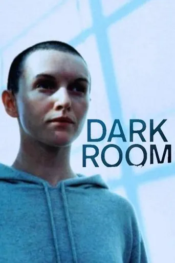 Póster de The Dark Room