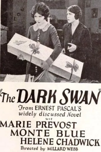 Póster de The Dark Swan