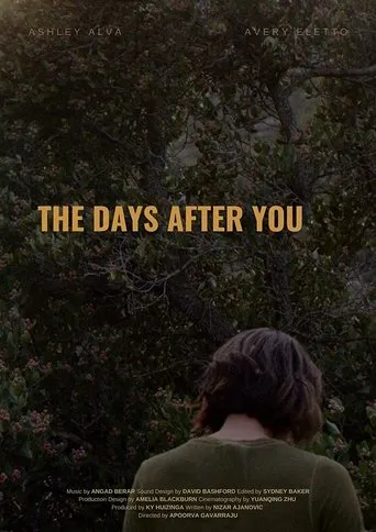 Póster de The Days After You