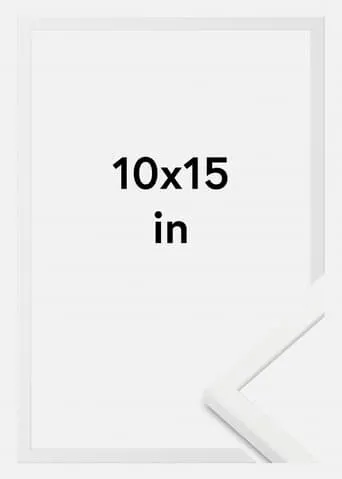 Póster de The deliverance of a suitcase