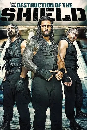 Póster de The Destruction of The Shield