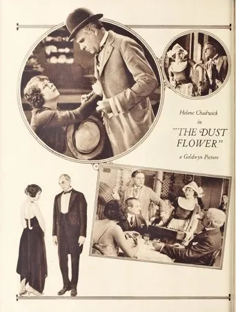 Póster de The Dust Flower