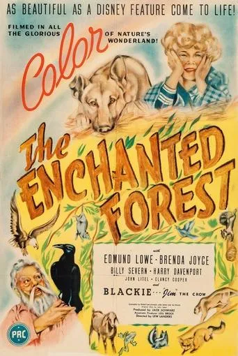 Póster de The Enchanted Forest