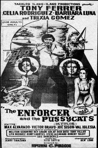 Póster de The Enforcer and the Pussycats