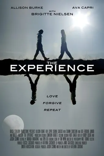 Póster de The Experience