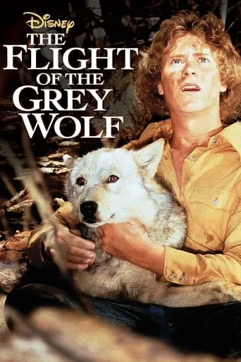 Póster de The Flight of the Grey Wolf