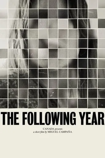 Póster de The Following Year
