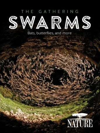 Póster de The Gathering Swarms