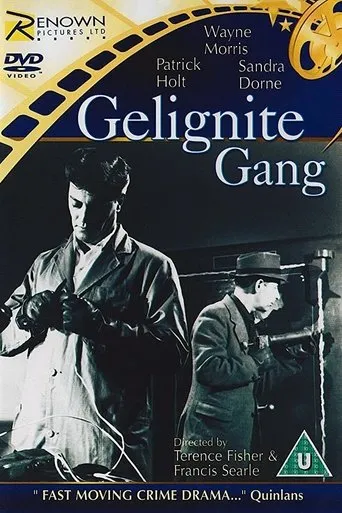 Póster de The Gelignite Gang