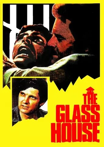 Póster de The Glass House