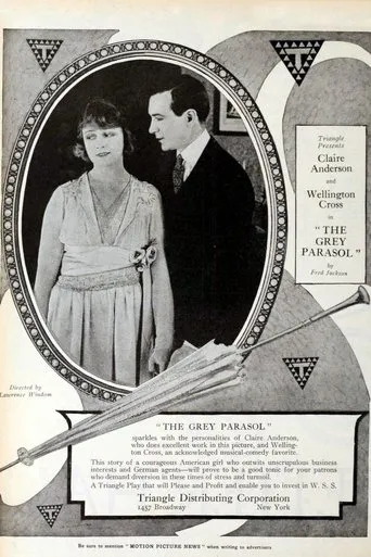 Póster de The Grey Parasol