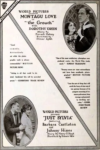 Póster de The Grouch