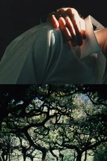 Póster de The Hedge Theater