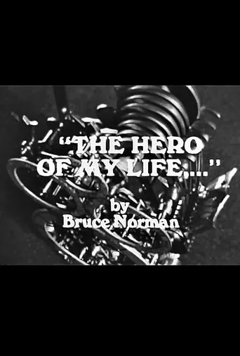 Póster de The Hero of My Life