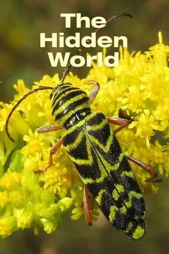 Póster de The Hidden World
