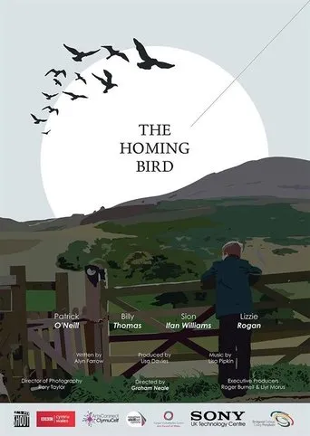 Póster de The Homing Bird