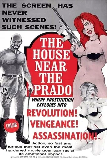 Póster de The House Near the Prado