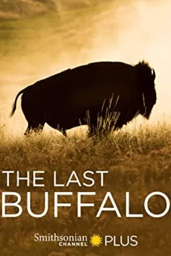 Póster de The Last Buffalo