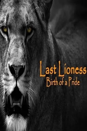 Póster de The Last Lioness: Birth of a Pride
