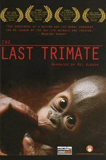 Póster de The Last Trimate