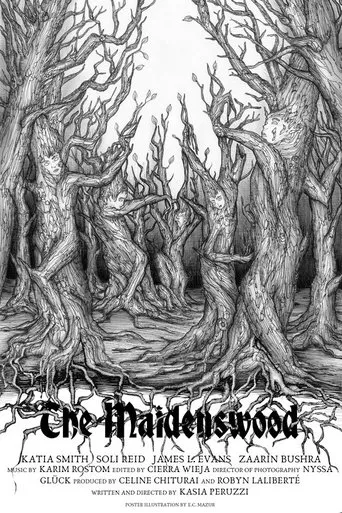 Póster de The Maidenswood