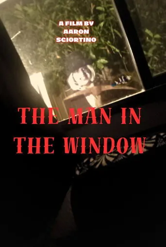 Póster de The man in the window