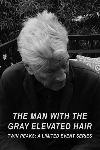 Póster de The Man with the Gray Elevated Hair