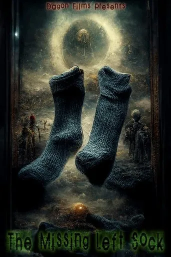 Póster de The Missing Left Sock