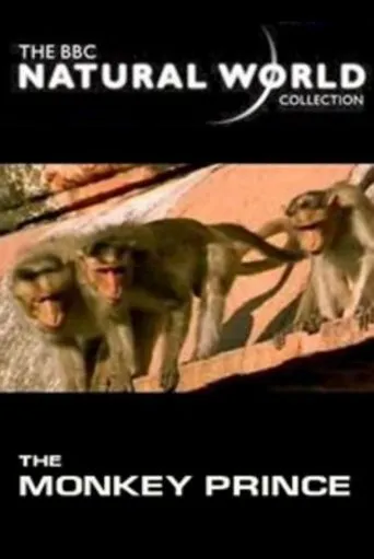 Póster de The Monkey Prince