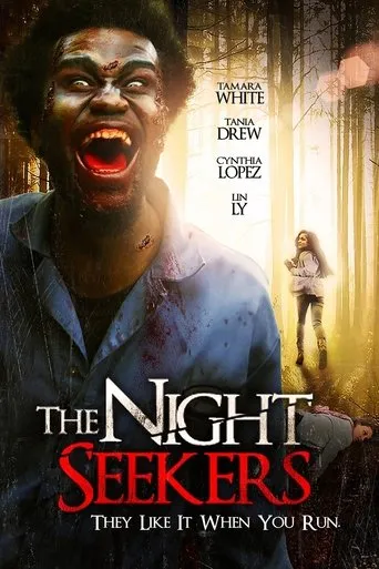 Póster de The Night Seekers