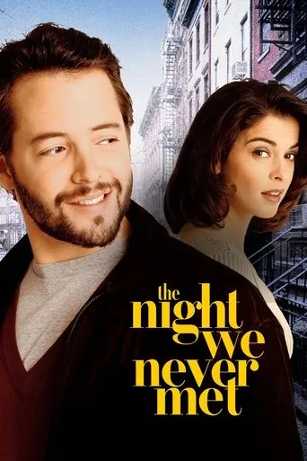 Póster de The Night We Never Met