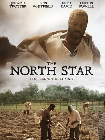 Póster de The North Star