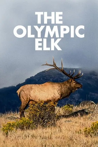 Póster de The Olympic Elk